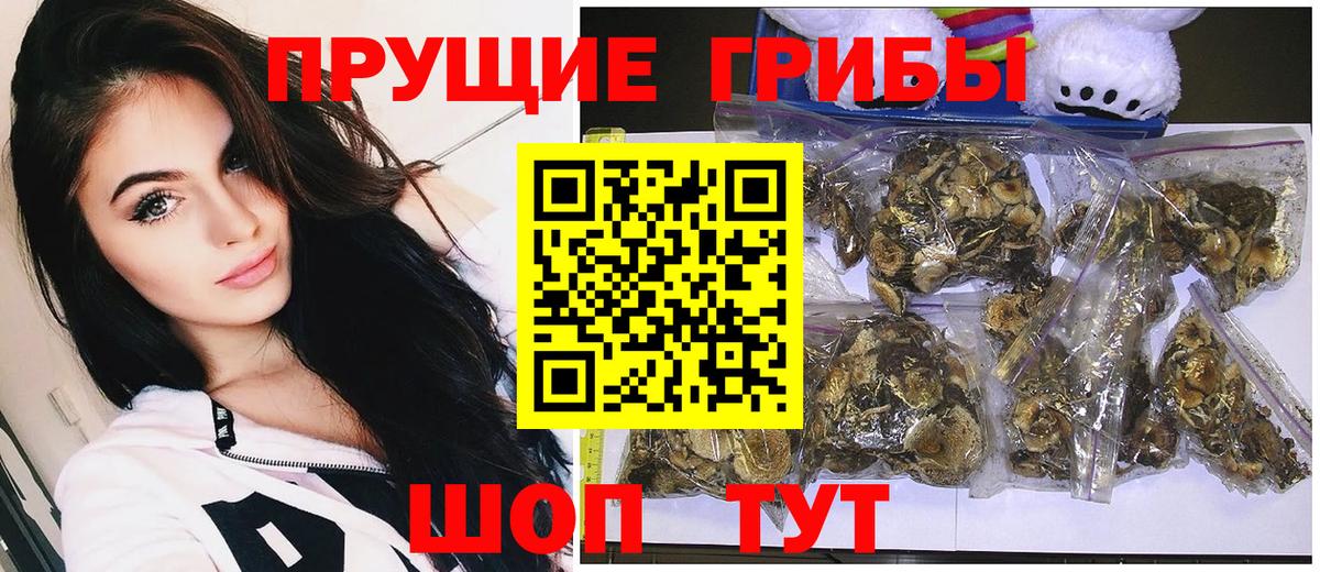 Артёмовский  Псилоцибиновые грибы Psilocybe  Вход с VPN 