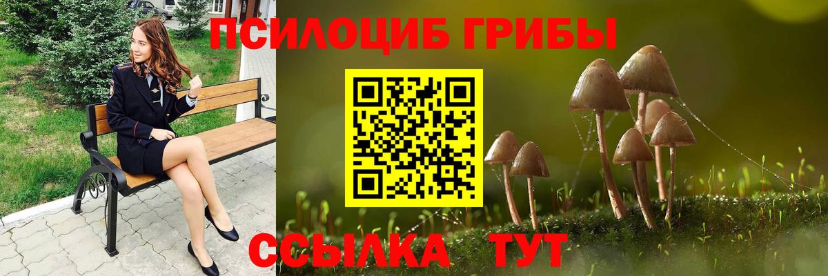 Псилоцибиновые грибы мицелий Артёмовский